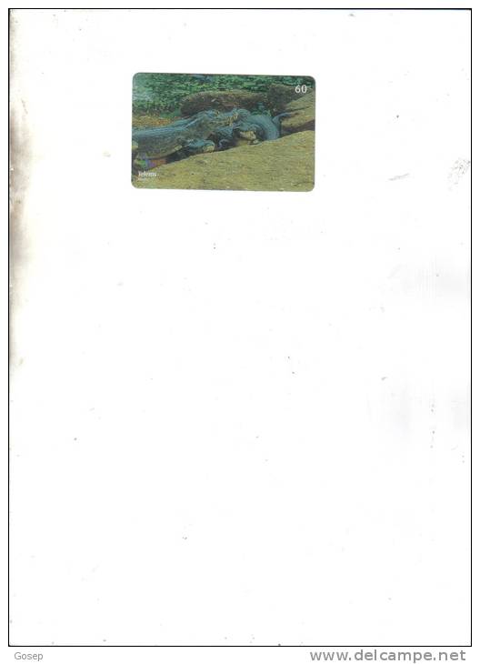 Brasil-serie Color Zoom-jacare-1/6-(5/2001)-tirage-100.000-used Card - Krokodile Und Alligatoren