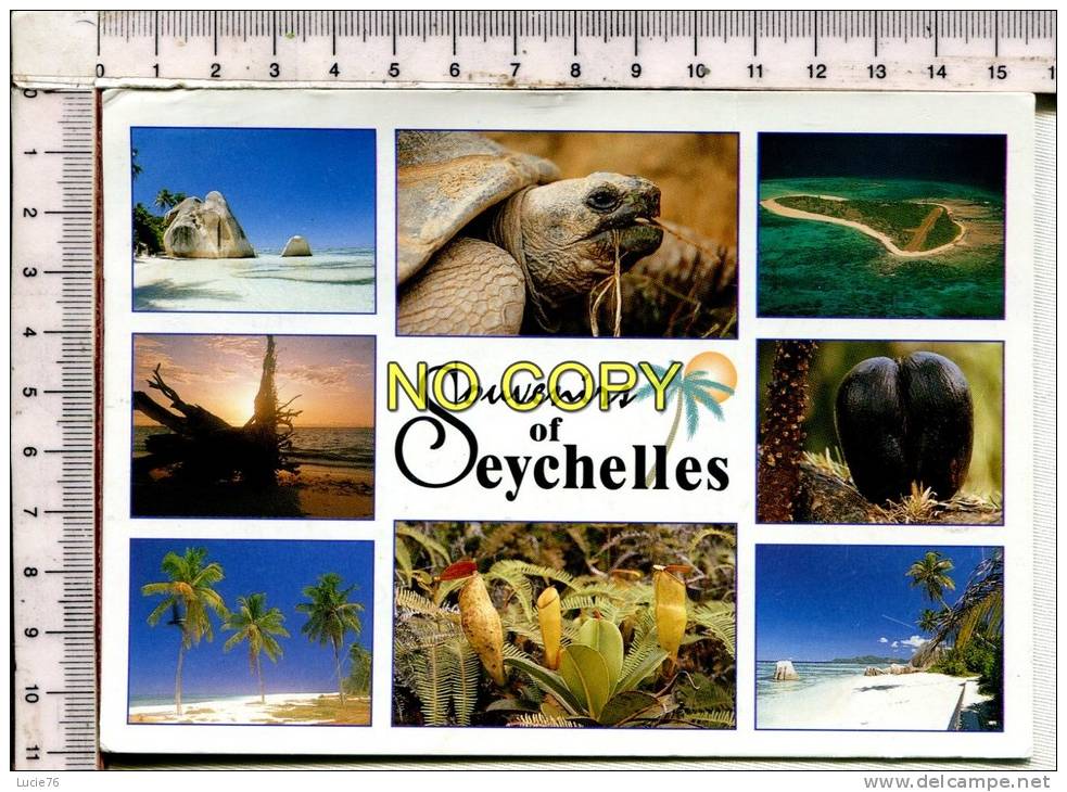 SEYCHELLES  -  Souvenir  -  8 Vues  : Sceneries Of Seychelles, Giant Tortoise, Pitcher Plant, Coco De Mer - Seychelles