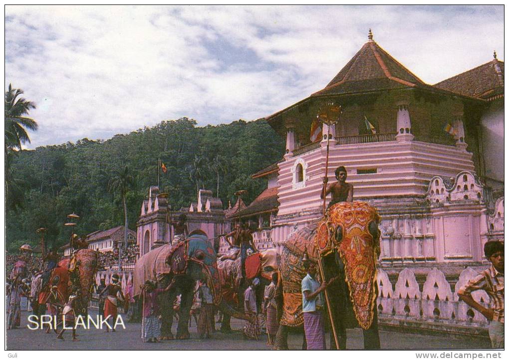 Asie-Sri Lanka (Ceylon)-Kindy Perahera Traditional Procession Held Annuary In July August -Honor Sacred Tooth (Eléphant) - Sri Lanka (Ceylon)