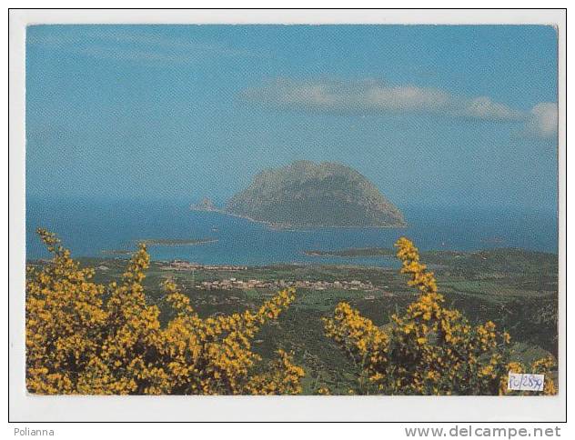 PO2899# OLBIA - ISOLA TAVOLARA - PORTO S.PAOLO  VG 1987 - Olbia