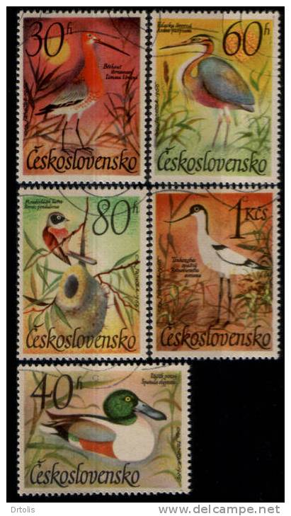 BIRDS / CESKOSLOVENSKO / 5 VFU STAMPS  . - Piciformes (pájaros Carpinteros)