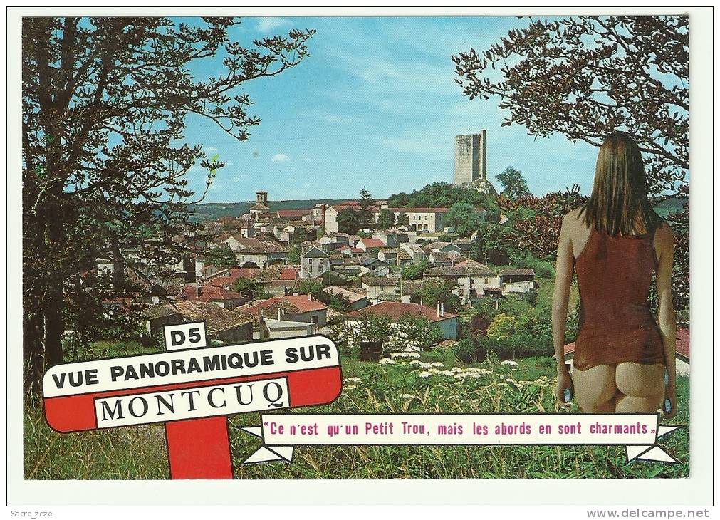 CPM MONTCUQ(46)15/7/97-vue Générale Si L'on Peut Dire - Montcuq