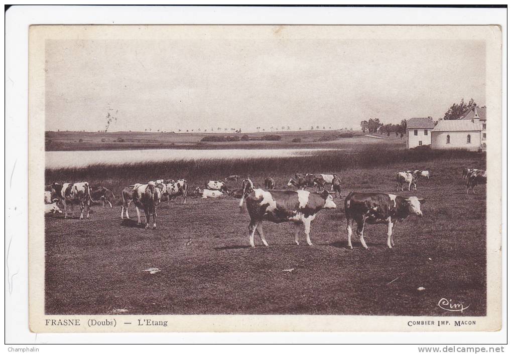 Frasne - L'Etang - Vaches Montbéliardes - Sonstige & Ohne Zuordnung