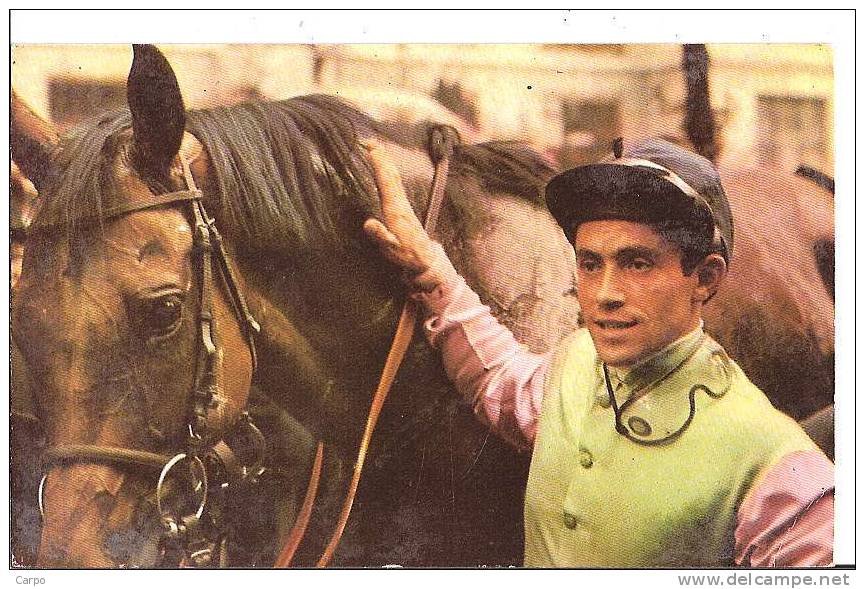 CHEVAL - Postillon Vous Offre Le Calendrier Des Courses Pour Nov. 1967. J.C. DESAINT Et PANSA . (Champ De Courses) - Hippisme