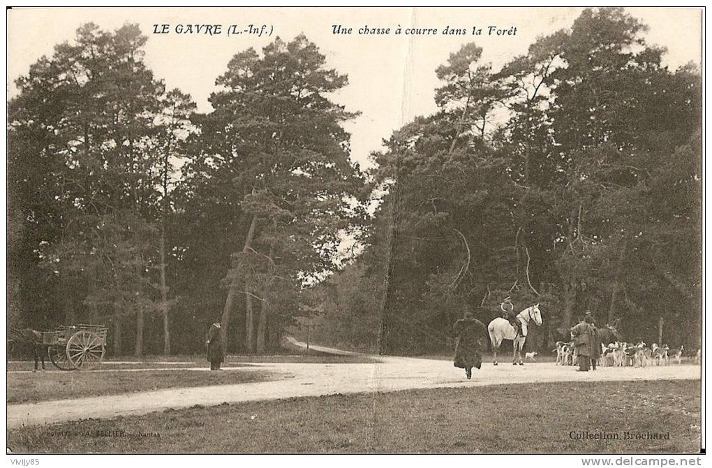 44 -  LE  GAVRE - Belle Vue Animée D'une Chasse à Courre Dans La Forêt (attelage ,chiens,etc..) - Le Gavre