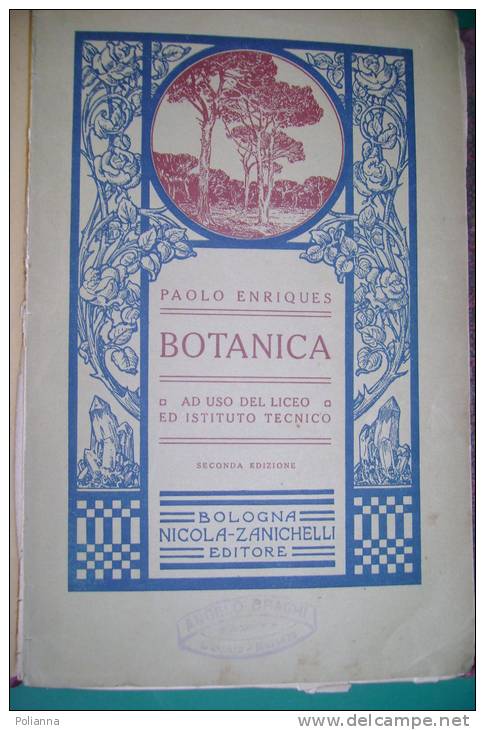 PEG/21 Paolo Enriques BOTANICA Ed.Zanichelli 1916/PIANTE/GIARDINAGGIO/AGRICOLTURA - Jardinage