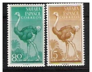 Birds.Oiseaux.Vogels.Paj Ros.Vogel.Uccelli..Passaro.  Sahara. - Altri & Non Classificati