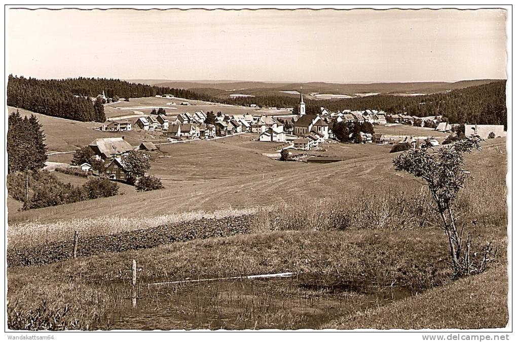 AK 325344 Höhenluftkurort Und Wintersportplatz 7741 Schönwald 1000 - 1500 M ü. M. / Schwarzwald Echte Photographie - Villingen - Schwenningen