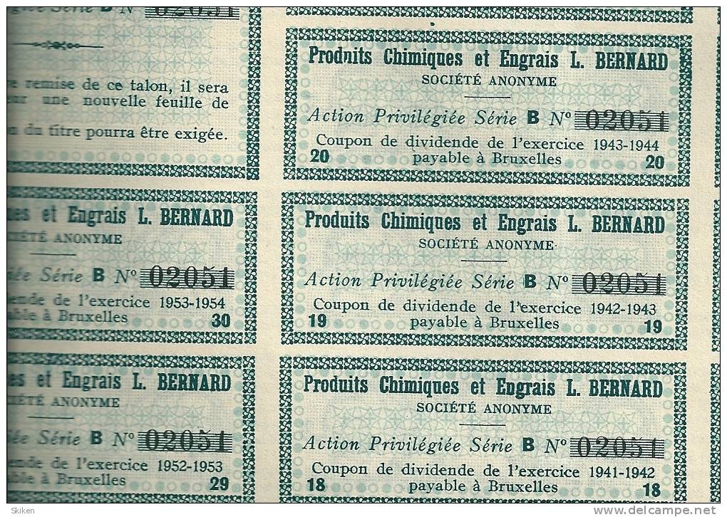 MESVIN  Produits Chimiques Et Engrais  L. BERNARD  10.12.1912  Action Privilegiee Serie B - Agriculture