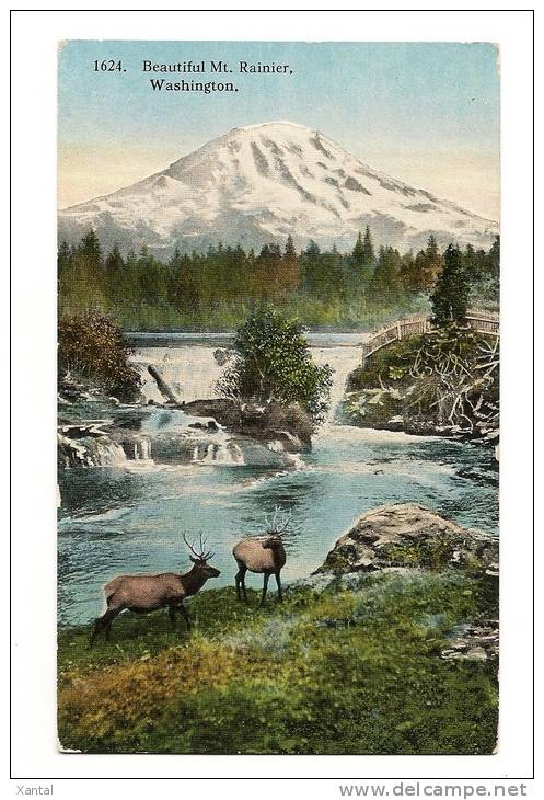 Washington - Beautiful Mount Rainer National Park - Back Is Written - Autres & Non Classés