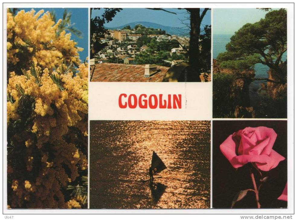 - GOGOLIN (Var) - Multi-vues - - Cogolin