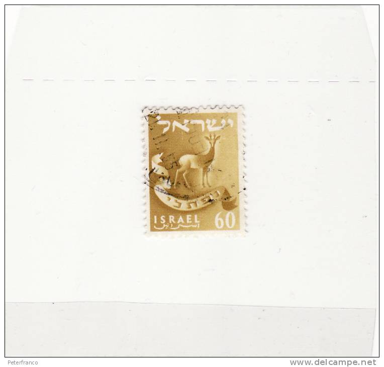 MA - Israele - Antilope - Wild