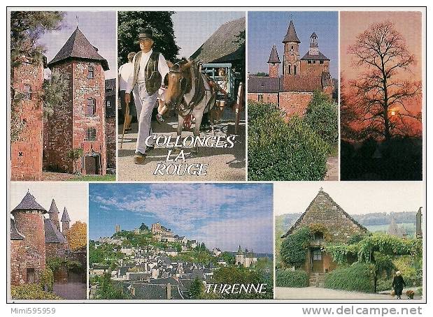 C19/026 - COLLONGES-la-ROUGE Et Ses Environs - Multivues - Turenne, Castel De Vassignac... - Animée - Scan Recto-verso - Autres & Non Classés