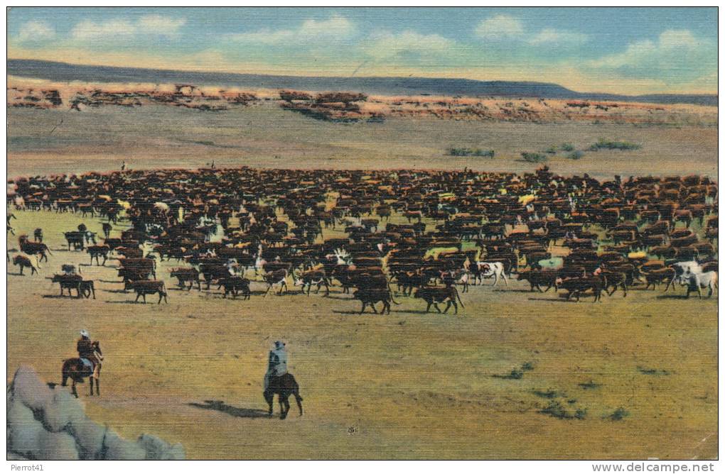 U.S.A. "In Old Wyoming" - A Roundup On The Range - Out On The Western Prairies In The Rockies - Autres & Non Classés