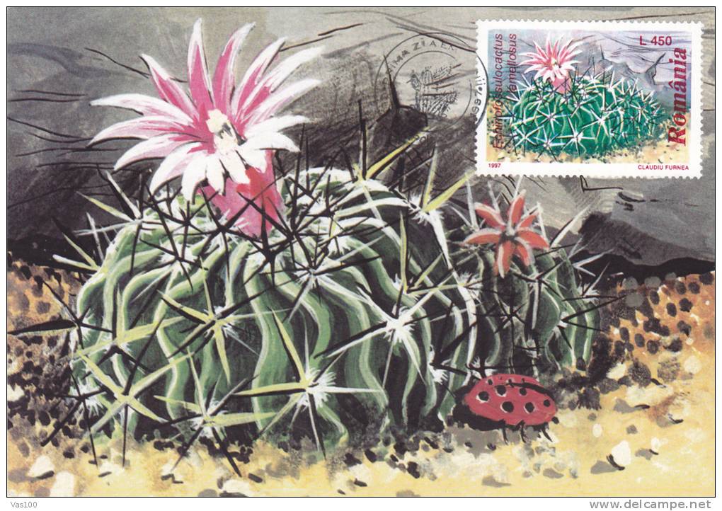 CACTUSSES,CACTUS 1997 CM,MAXICARD,CARTES MAXIMUM,obliteration FDC,PREMIER JOUR, Romania. - Cactus