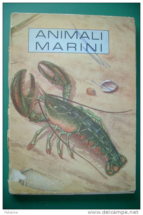 PEG/42 B.Morris Parker - G.K.McCosh ANIMALI MARINI Ed.Janus 1957/CONCHIGLIE/SHELL - Gezelschapsdieren