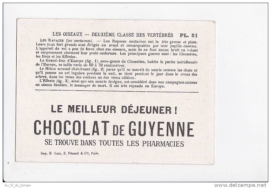 CHOCOLAT DE GUYENNE , LES OISEAUX , LES RAPACES - Sonstige & Ohne Zuordnung