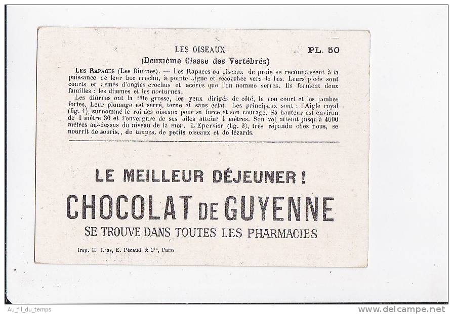 CHOCOLAT DE GUYENNE , LES OISEAUX , LES RAPACES - Sonstige & Ohne Zuordnung