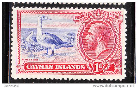 Cayman Islands 1935-36 KG Def 1p Birds Mint - Kaimaninseln