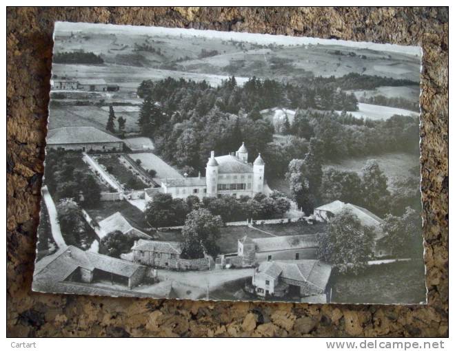 CORDELLE CHATEAU DE RILLY @ VUE RECTO/VERSO AVEC BORDS - Other & Unclassified