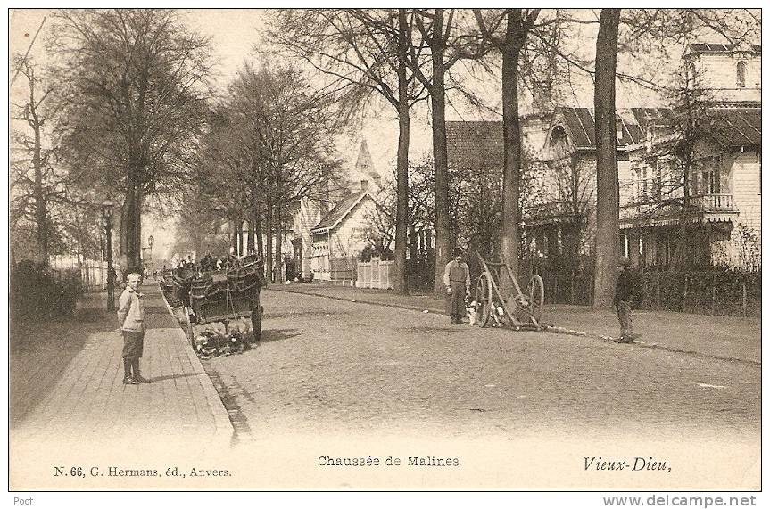 Oude God ( Mortsel ) / Vieux-Dieu : Chaussée Du Malines ( Hondekarren)  --- 1909 - Mortsel