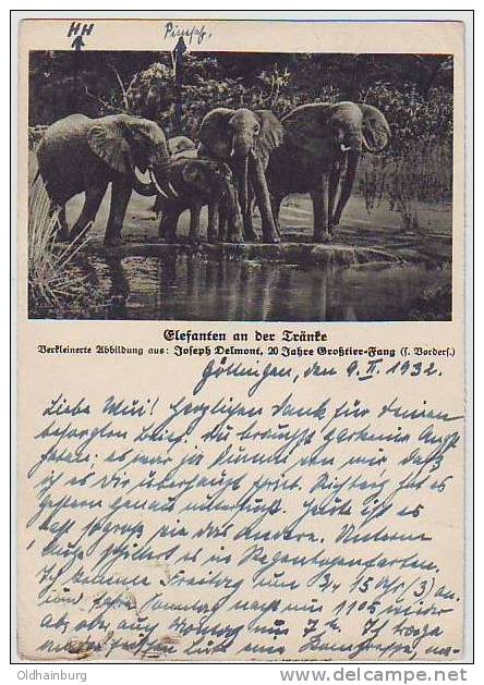 379: Deutsches Reich Göttingen 1932 Gelaufene AK Elephanten - Elefanti