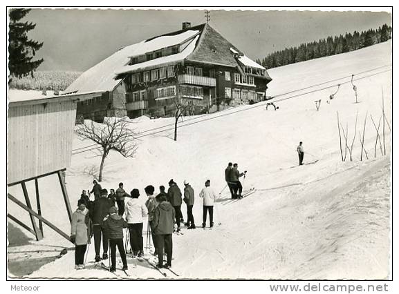 Todtnau - Todtnauberg - Todtnau