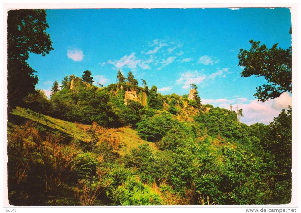 ENVIRONS D' EGLETONS - LES RUINES DE L' ANCIEN CHATEAU DE VENTADOUR - Egletons