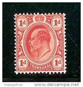 ZUID AFRIKAANSE REPUBLIEK  1905 Mint Hinged Stamp(s) Edward VII 1d Scarlet Sacc Nr. 280 - Transvaal (1870-1909)