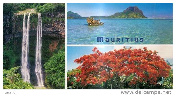 Ile Maurice - Mauritius - Chamarel Waterfalls, Morne, Flametrees - Carte Format 20,5 X 10,5 - Mauricio