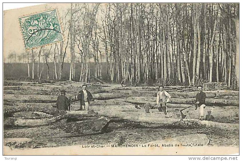 Loir-et-Cher : Nov11b 25 : Marchenoir  -  Forêt  -  Abatis De Haute Futaie  -  Bûcherons - Marchenoir