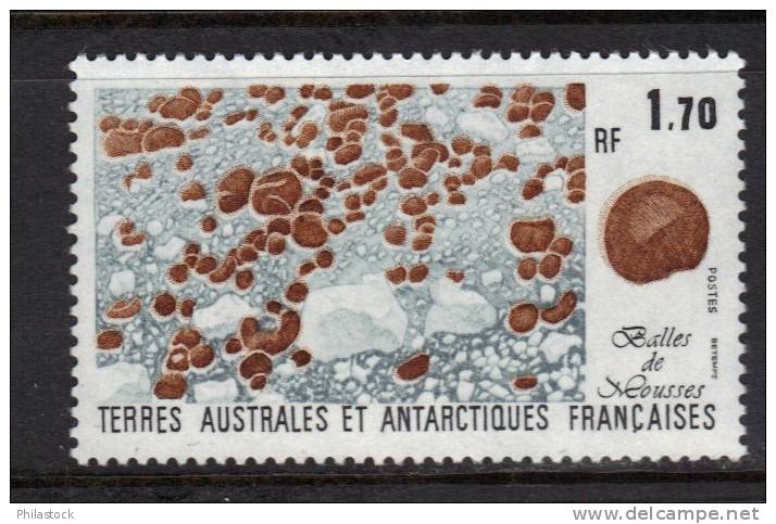 TAAF  N° 156 ** - Unused Stamps