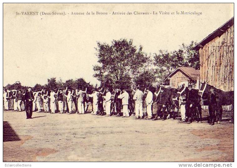 Saint Varent     79      Arrivée Des Chevaux Et Le Matriculage - Sonstige & Ohne Zuordnung