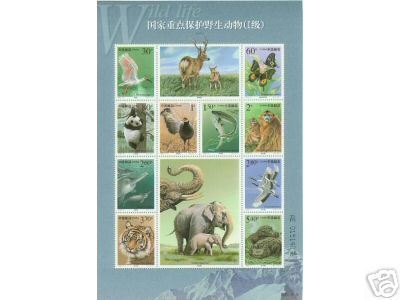 2000 CHINA YEAR PACK INCLUDE STAMP ANS MS SEE PIC - Full Years