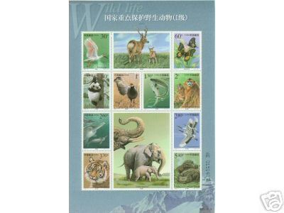 2000 CHINA YEAR PACK INCLUDE STAMP ANS MS SEE PIC - Années Complètes