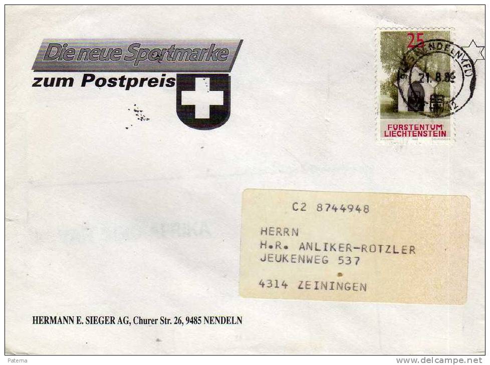 Carta, Nendeln 1989, Liechtenstein,  Cover - Covers & Documents