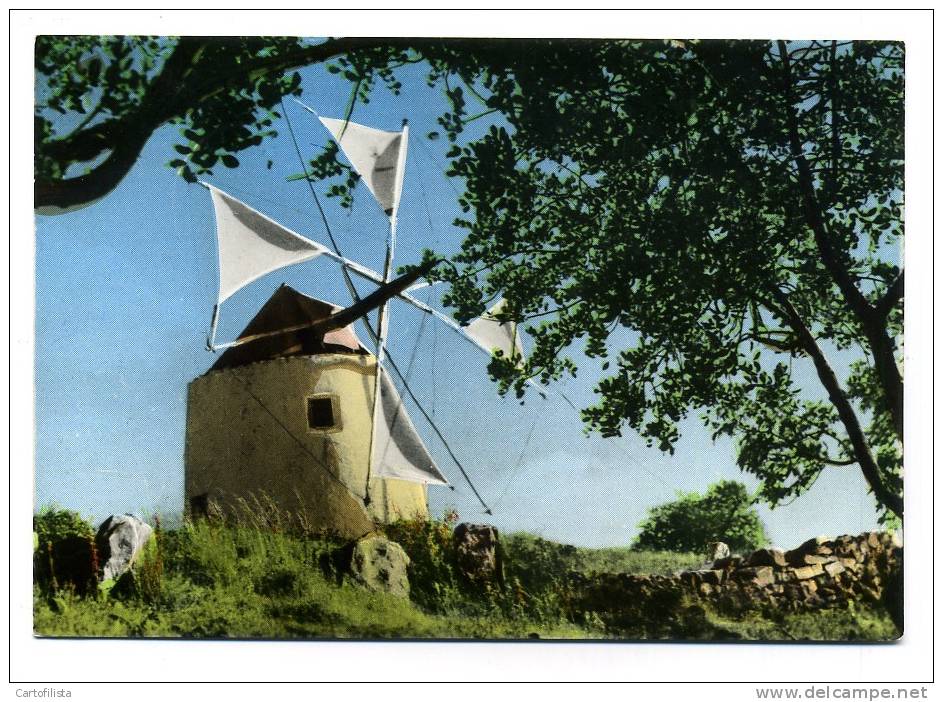 ALGARVE - Moinho - Windmill, Moulin - Faro