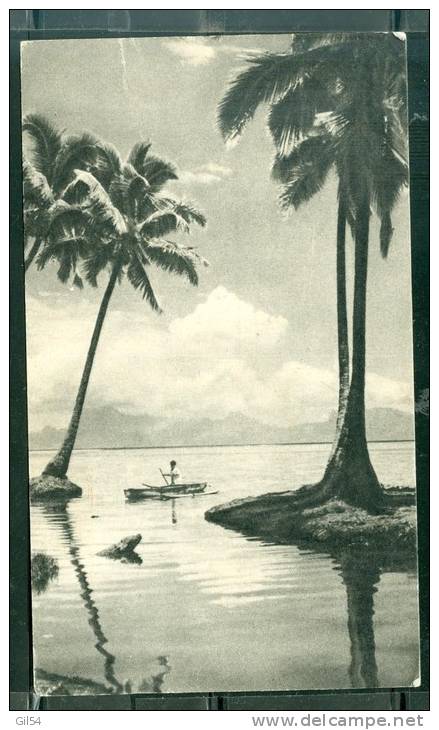 Carte Du Tonga Affranchie Pour La France En 1955 ( 3 Scans ) Phi10901 - Tonga (...-1970)