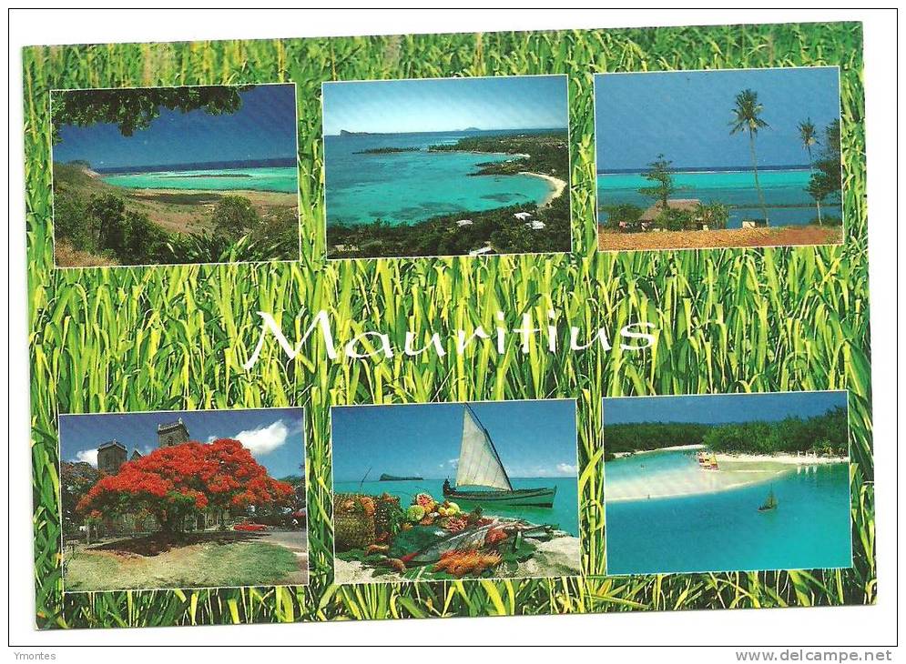 Postcard Mauritius - Maurice