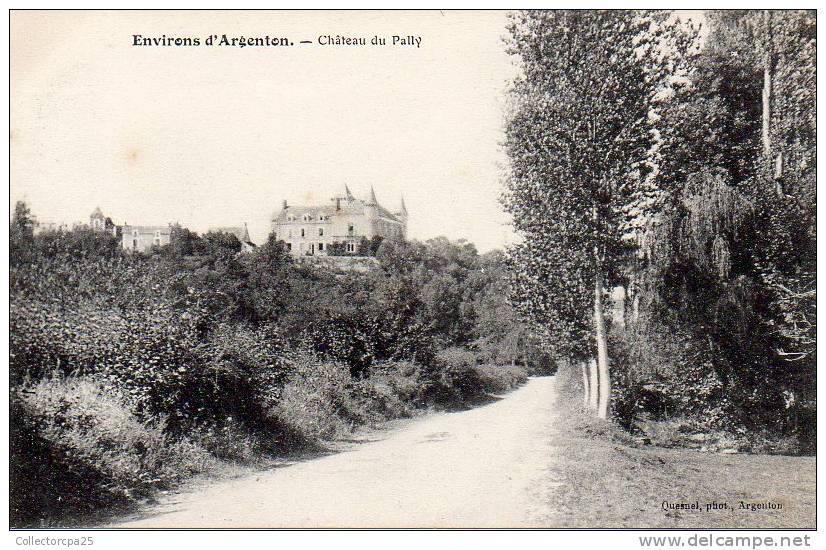 Environs D'Argenton - Château Du Pally - Autres & Non Classés