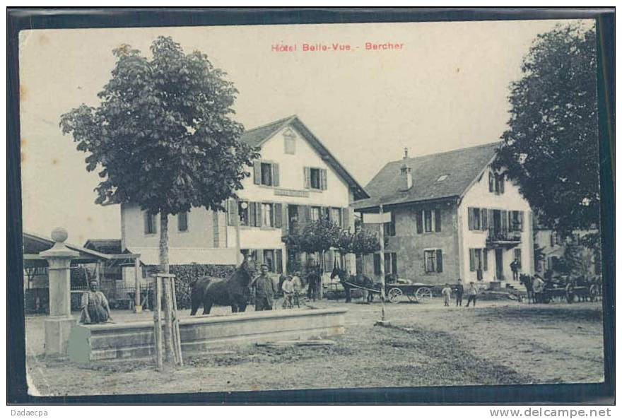 Bercher, Hôtel Belle-Vue, Chevaux, Animée, - Bercher