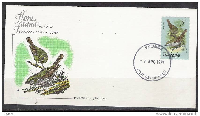 S788.-.BARBADOS .-. 1979-1981  .-. SCOTT #:497- FDC-  SPARROW  / LOXIGILIA NOCTIS - Rebhühner & Wachteln