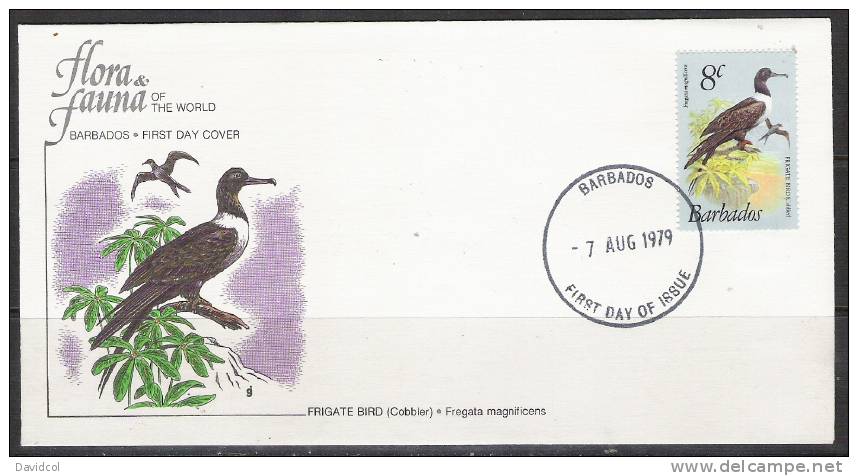 S787.-.BARBADOS .-. 1979-1981  .-. SCOTT #:498- FDC-  FRIGATE BIRD / FREGATA MAGNIFICENS - Hirondelles