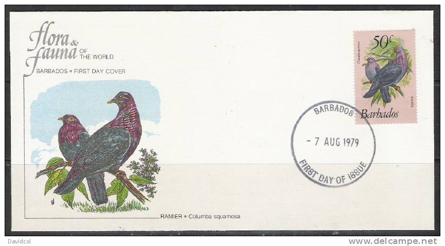 S779.-.BARBADOS .-. 1979-1981  .-. SCOTT #:506- FDC-  RAMIER  / COLUMBA SQUAMOSA - Gallináceos & Faisanes