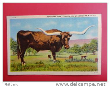 Texas Long Horn  Steer   Linen No Cancel -- -------      -------- Ref 347 - Other & Unclassified