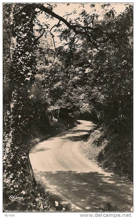 Cpsm La Mothe Côte De Bois Guérin - La Mothe Saint Heray