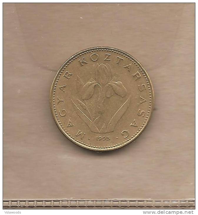 Ungheria - Moneta Circolata Da 20 Fiorini Km696 - 1995 - Ungheria