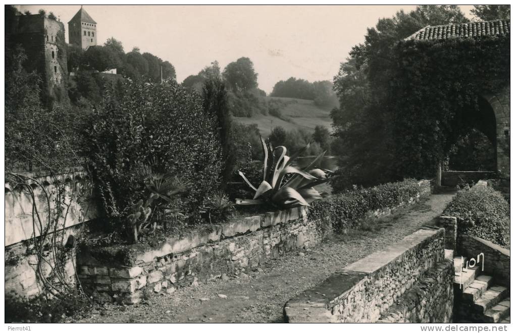 SAUVETERRE DE BÉARN - Le Pont De La Légende - Sauveterre De Bearn