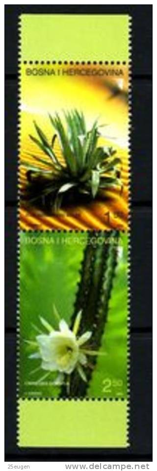 BOSNIA  HERCEGOVINA  2004 MICHEL No: 342-343  MNH - Cactusses