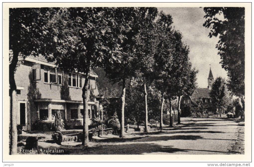 Nederland/Holland, Ermelo, Azalealaan, Ca. 1950 - Ermelo